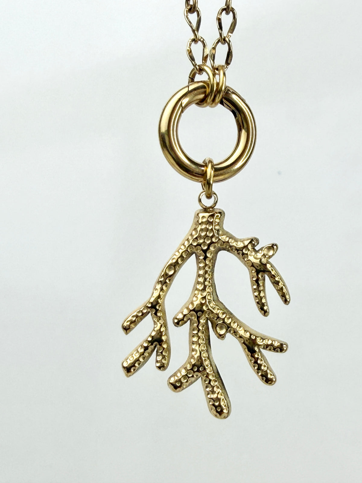 Coral Charm