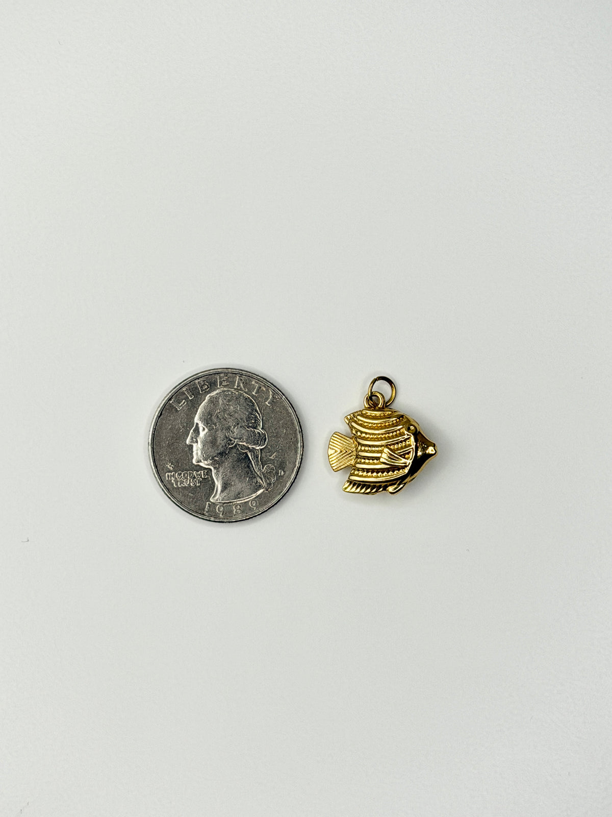 Angelfish Charm